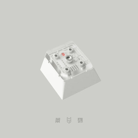 PBTfans X-Ray Keycap Set - Divinikey