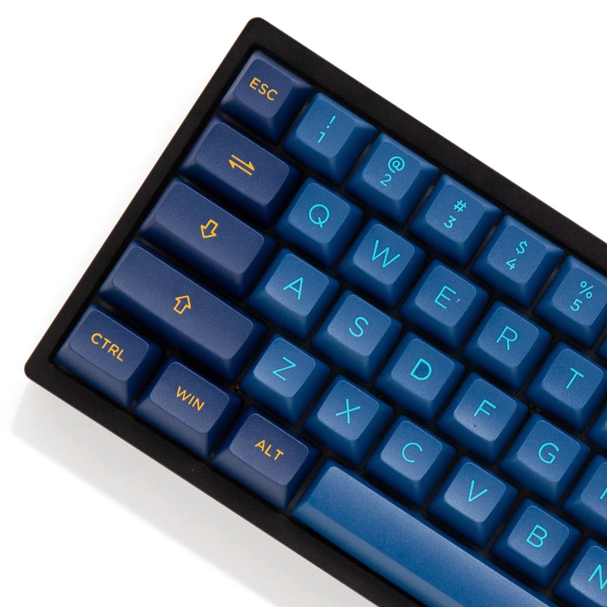 Akko Macaw Keycap Set Doubleshot PBT - Divinikey