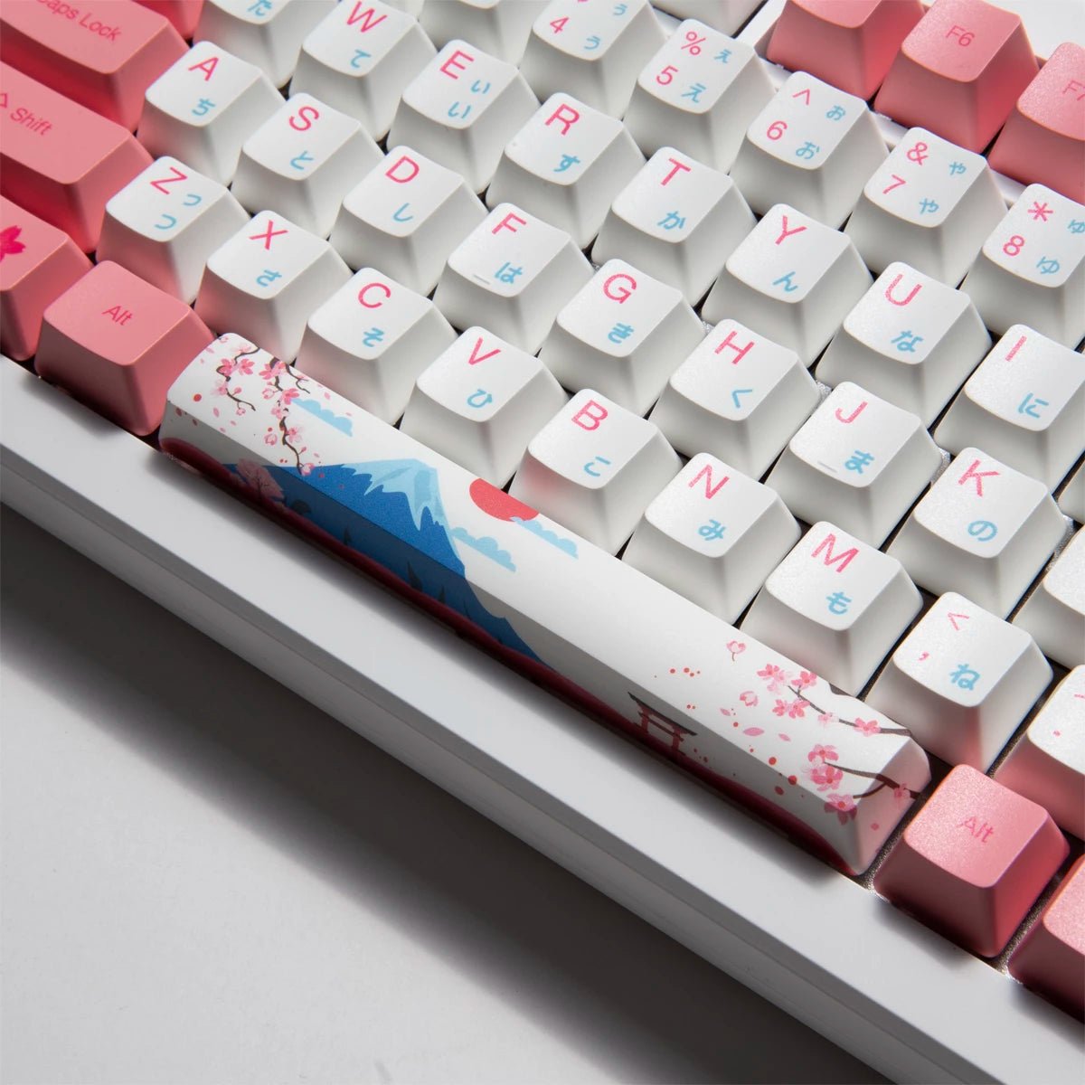 Akko MOD 007B HE 75% Keyboard - Divinikey