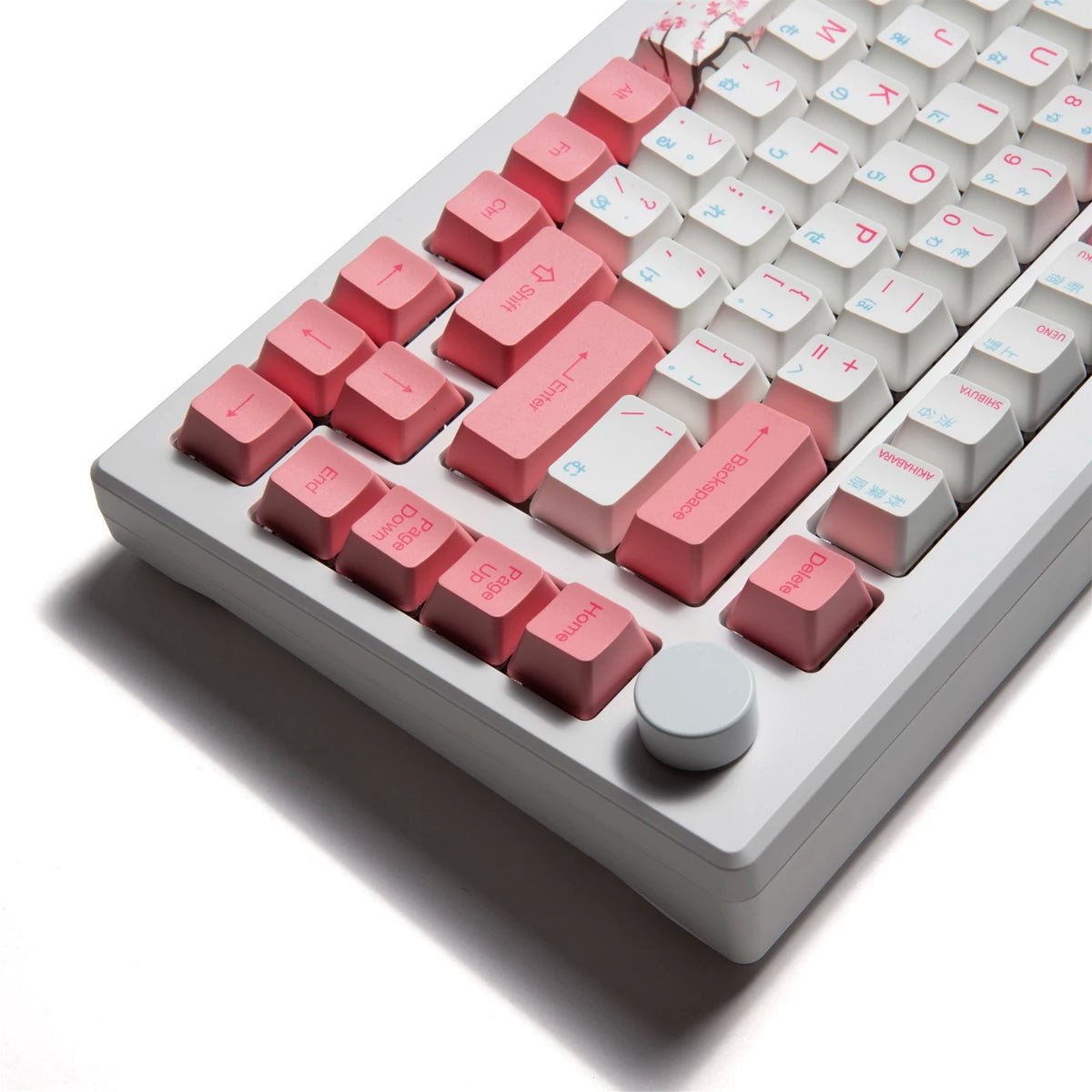 Akko MOD 007B HE 75% Keyboard - Divinikey