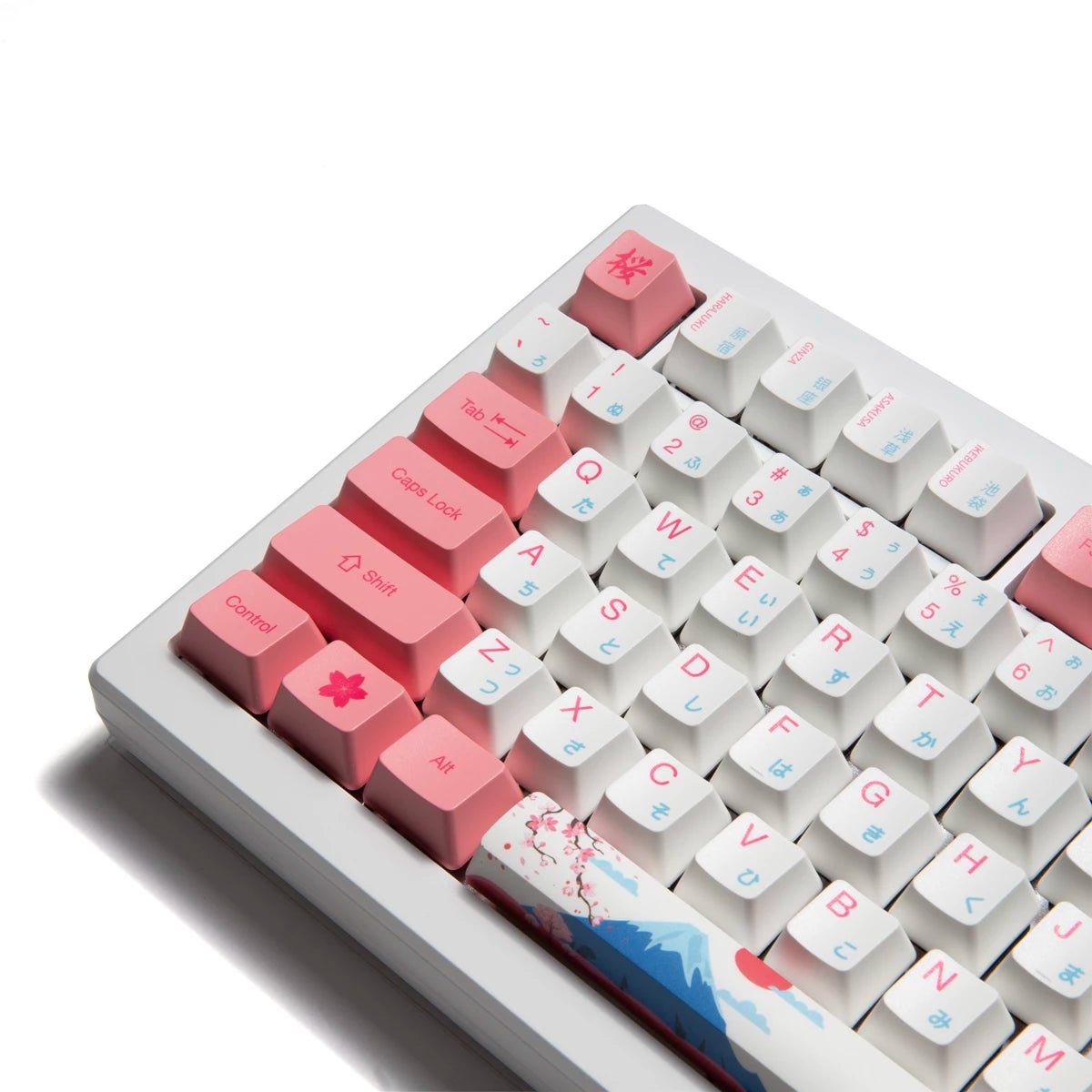 Akko MOD 007B HE 75% Keyboard - Divinikey