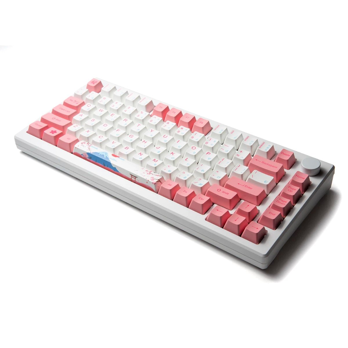 Akko MOD 007B HE 75% Keyboard - Divinikey