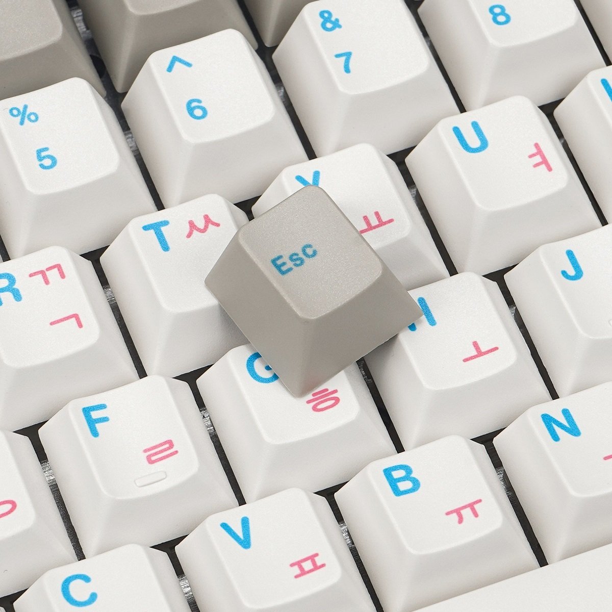 EnjoyPBT Korean Keycap Set Dye-Sub PBT - Divinikey