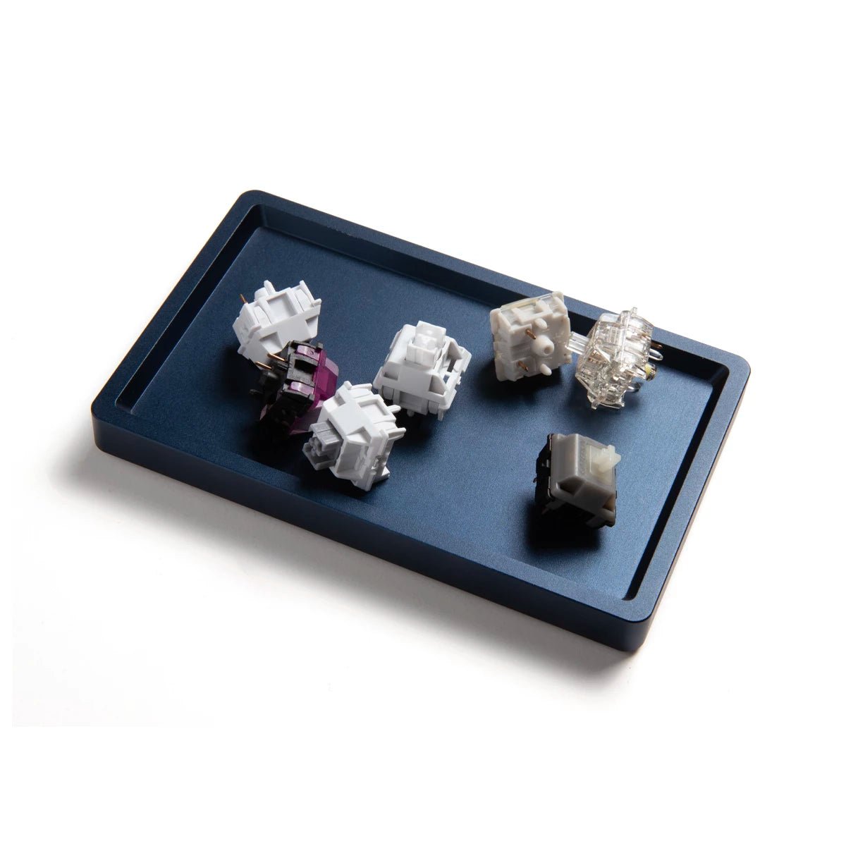 Fat Cat "Litterbox" Magnetic Screw Tray - Divinikey