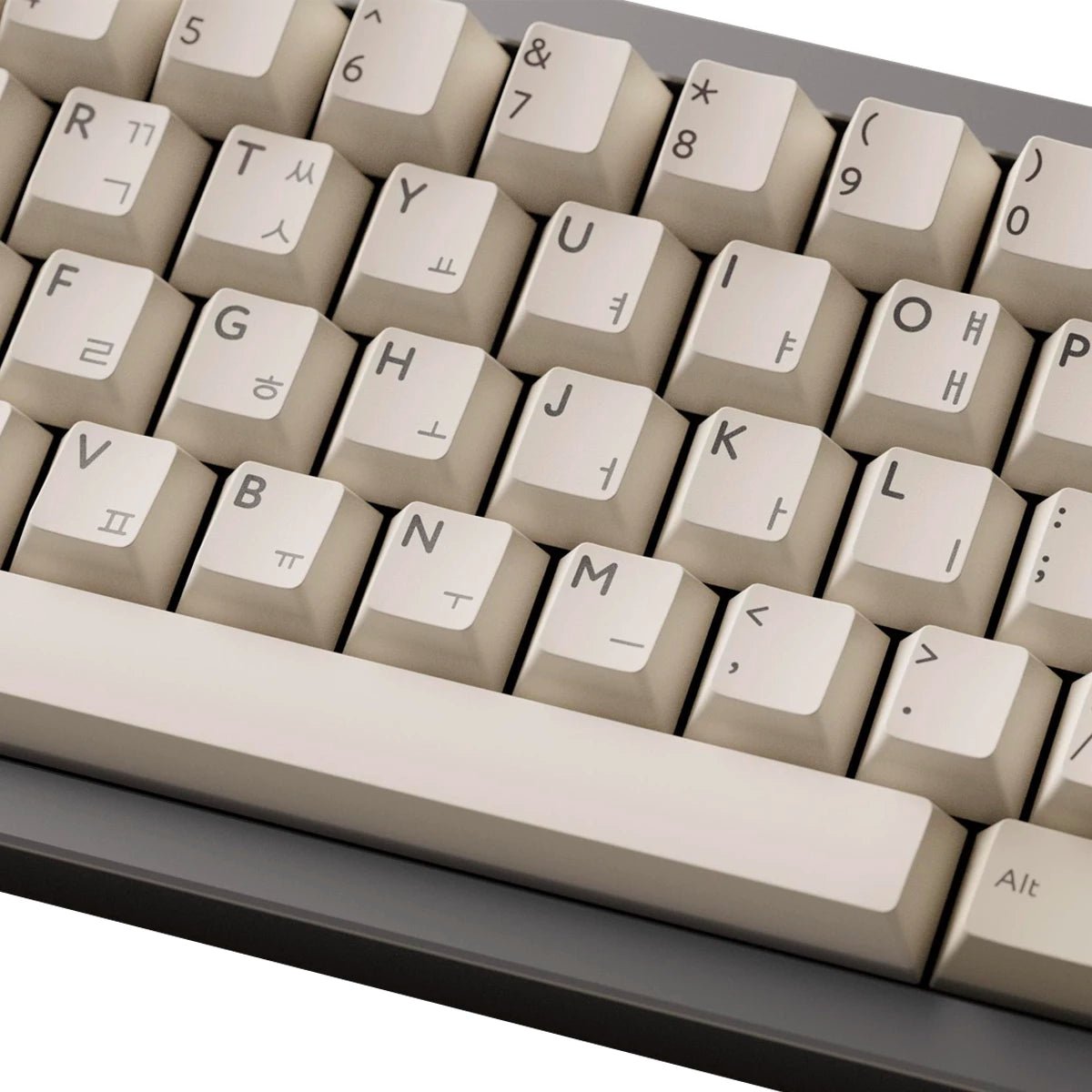PBTfans Classic Hangul Keycap Set Doubleshot ABS - Divinikey