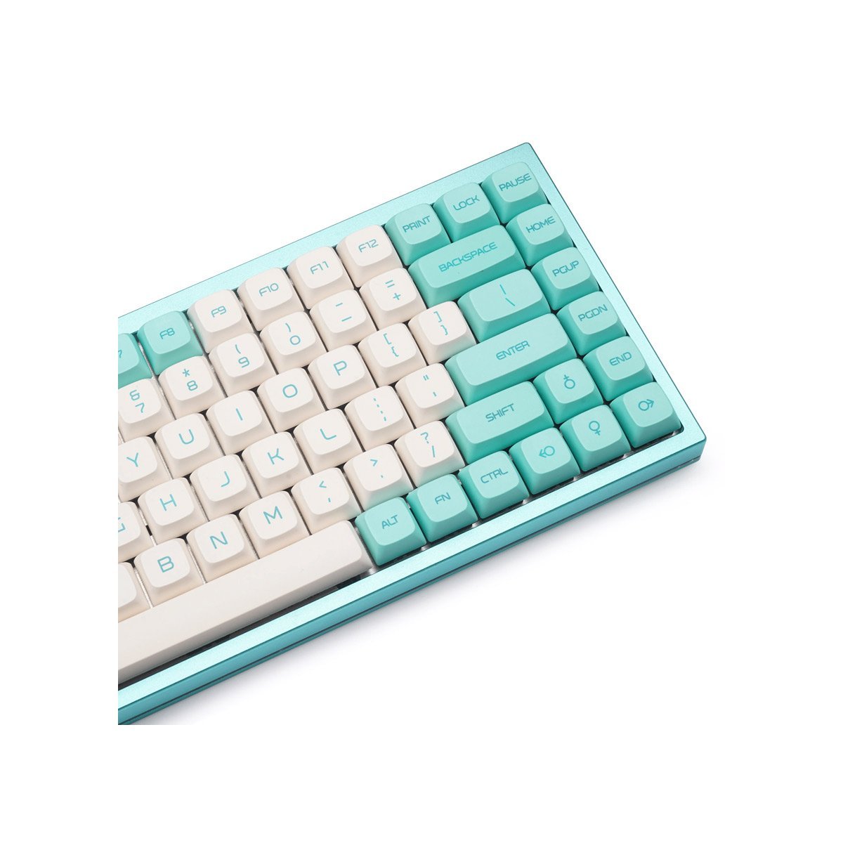 PG PBT Bluebird Keycap Set Dye-Sub PBT - Divinikey