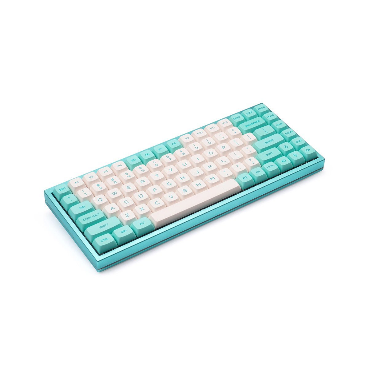 PG PBT Bluebird Keycap Set Dye-Sub PBT - Divinikey