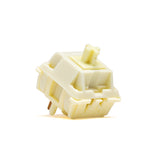 BSUN Mozzarella Cheese Tactile Switches