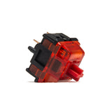 HMX Rosa Centifolia Linear Switches