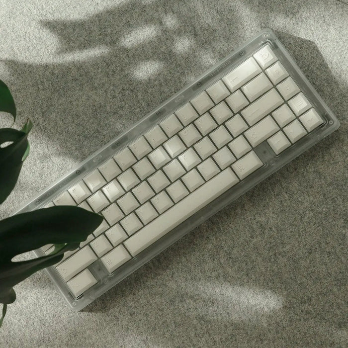 PBTfans X-Ray Keycap Set – Divinikey PBTfans X-Ray Keycap Set – Divinikey