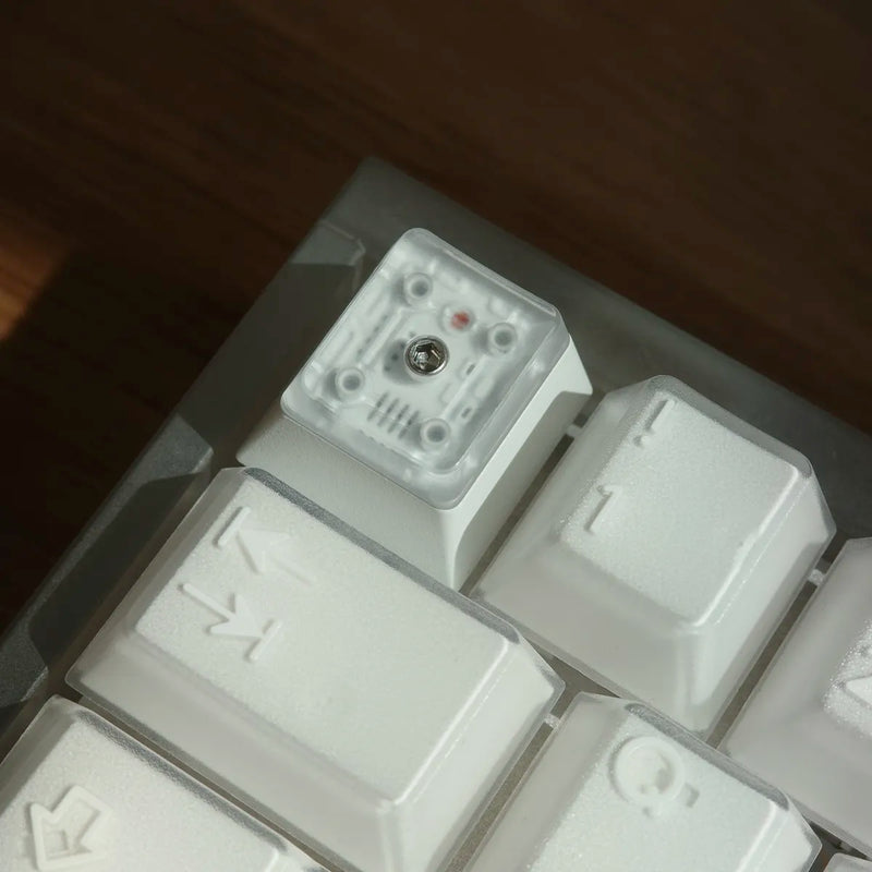 PBTfans X-Ray ABS Keycap Set – Divinikey