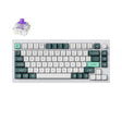 Keychron Q1 HE 75% Keyboard - Divinikey