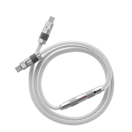 Mod Musings x WiredIn X - Ray Custom Cable - Divinikey