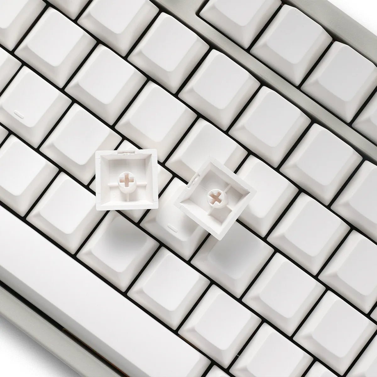 PBTfans Beluga Whale Blank Keycaps - Divinikey