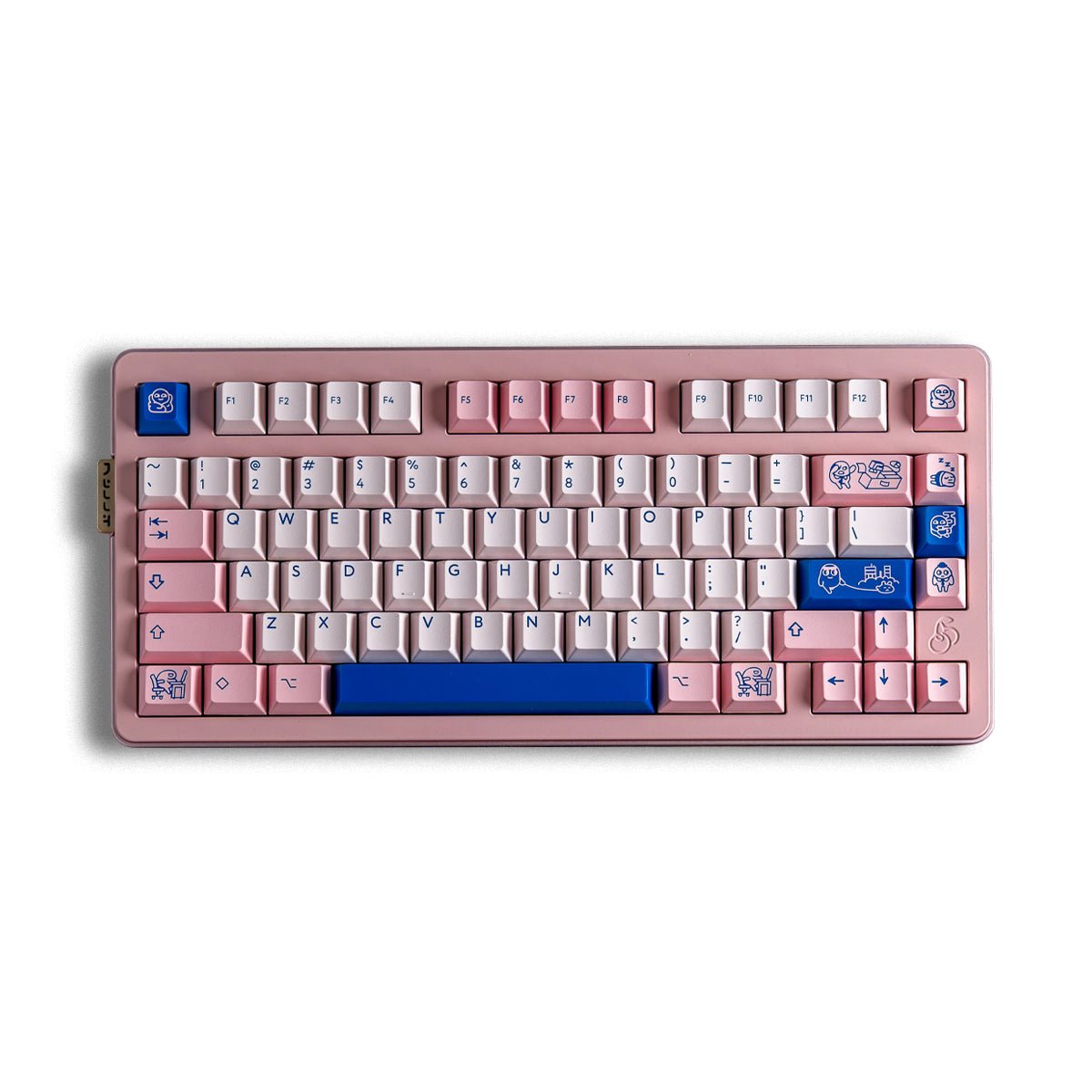 PBTfans Poco R2 Keycap Set Doubleshot ABS – Divinikey