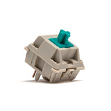 Typeplus Peacock Linear Switches - Divinikey