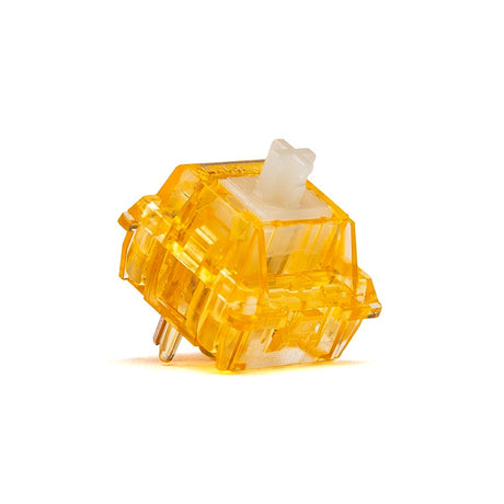 Wingtree Golden Apple V2 Tactile Switches - Divinikey