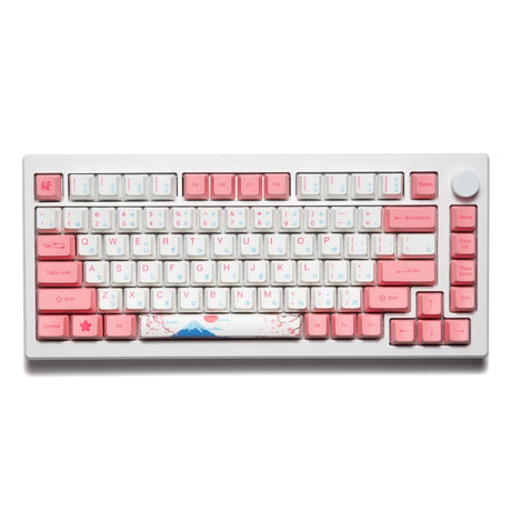 Akko MOD 007B HE 75% Keyboard - Divinikey