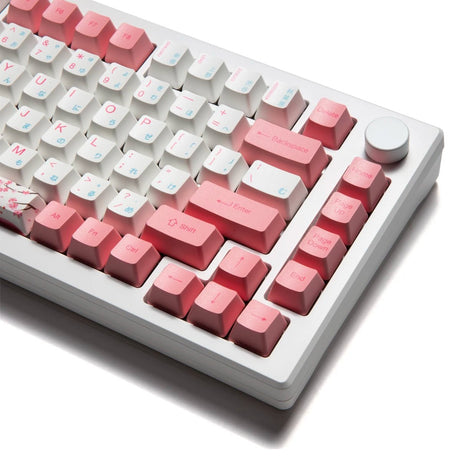 Akko MOD 007B HE 75% Keyboard - Divinikey