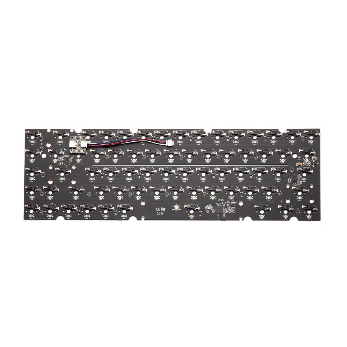 ブセファランドラType2 from sintang kayulapis Bucephalandra sp. Type2 from Sintang kayu lapis