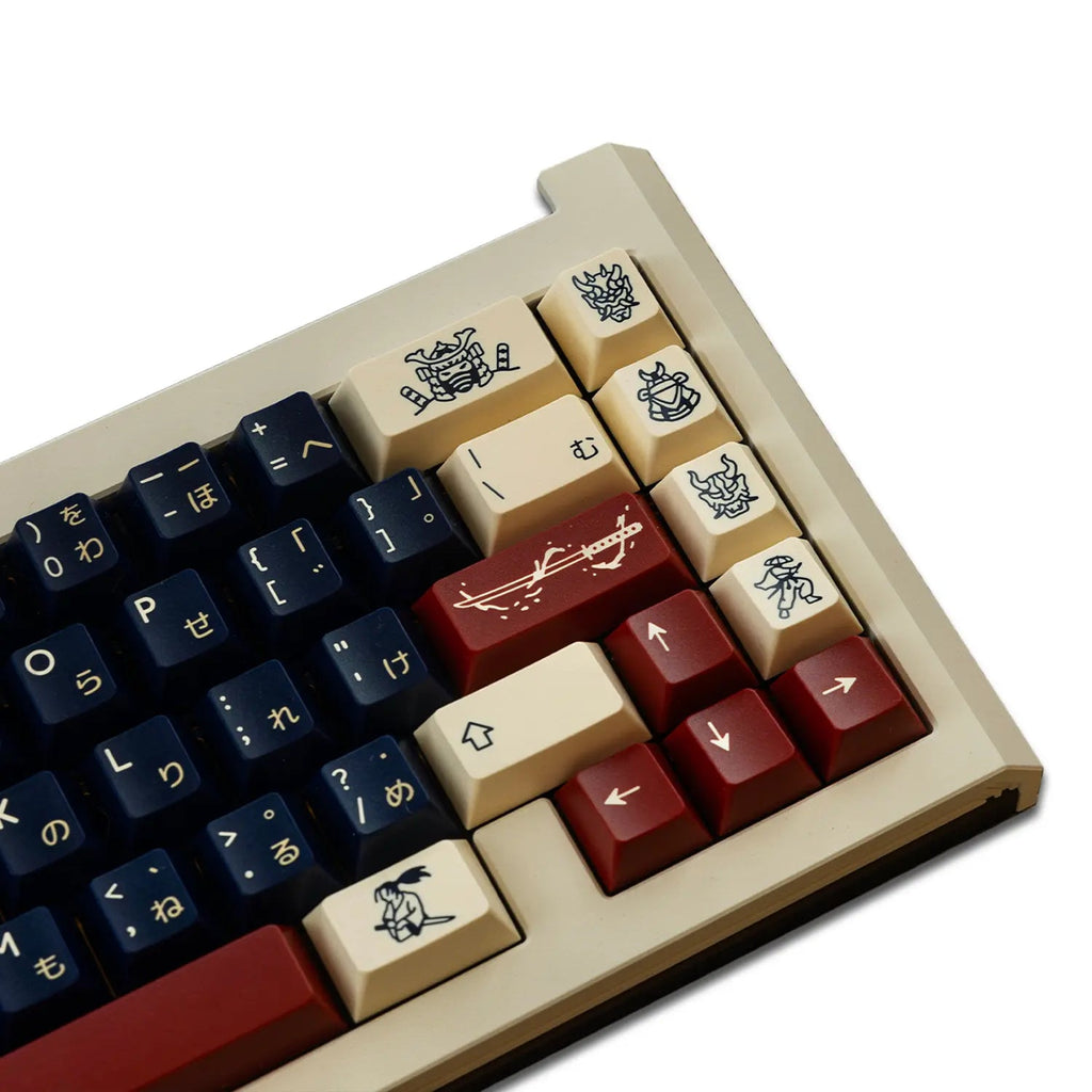 Keycap Kit PBTfans Ronin Keycap Set Doubleshot ABS – Divinikey